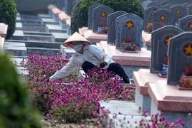 Bất tử trong lòng đất Mẹ