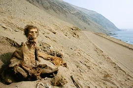 Những xác ướp kỳ bí vùng sa mạc Chile