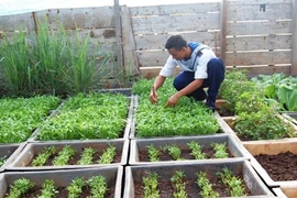 Lính đảo Trường Sa tăng gia cải thiện