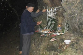 Bí ẩn khu rừng Cấm