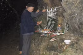 Bí ẩn khu rừng Cấm