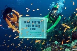 Chung tay “giải cứu” đại dương