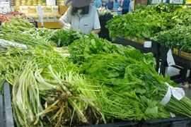 Mượn danh rau an toàn lừa người tiêu dùng