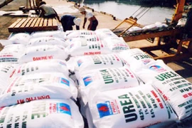 Phân bón giả: Hậu quả khôn lường