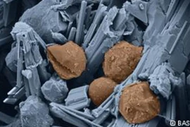 Những vật liệu xây dựng độc đáo