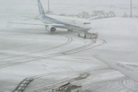 Mưa tuyết kỷ lục tại Nhật, 11 người chết