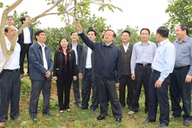 Thay thế ngay cán bộ cản trở nông thôn mới