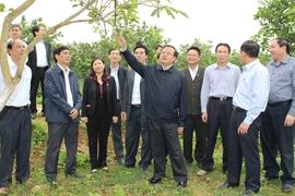 Thay thế ngay cán bộ cản trở nông thôn mới