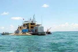 Cô Lin gần lắm Gạc Ma