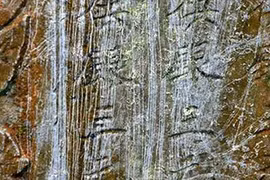 Đề nghị kiểm điểm việc “nhiệt tình thái quá”