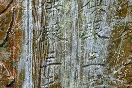 Đề nghị kiểm điểm việc “nhiệt tình thái quá”