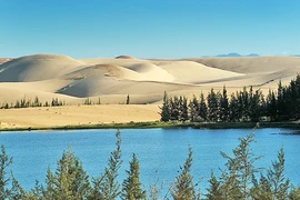 Bàu Cát - hồ trên sa mạc 