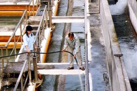 Tìm nguồn nước sạch cho Hà Nội