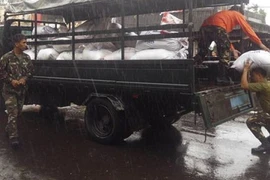 Hơn 300.000 người Philippines sơ tán tránh bão Rammasun