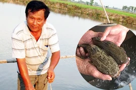 Gã tú ông làng và giấc mơ lương thiện