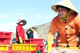 Để Việt Nam “mạnh về biển và làm giàu từ biển”