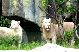 Khám phá đại ngàn bí ẩn