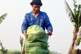 Hàng hóa ế ẩm, lạm phát hạ giảm, ai mừng, ai lo?