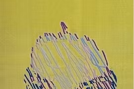 Nghệ sỹ Pháp nặng lòng với thêu tay