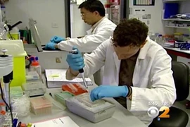 Báo động hiểm họa MERS