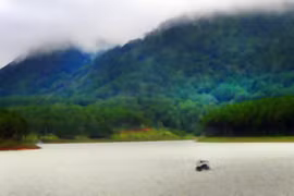 Lãng đãng sương giăng hồ Tuyền Lâm