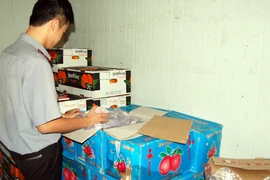 Hàng trăm tấn hoa quả Trung Quốc nhiễm thuốc vượt quy định