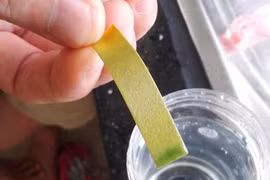 Thấp thỏm như… sống trong khu đô thị mới