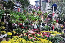 Giữ lấy chợ truyền thống 