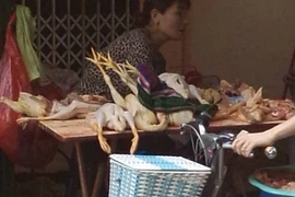 Phớt lờ cúm gia cầm