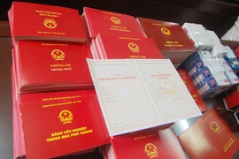 Đường dây làm giấy tờ giả với số lượng cực lớn