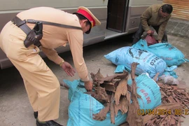 Bắt giữ gần 150kg gỗ sưa và đinh hương