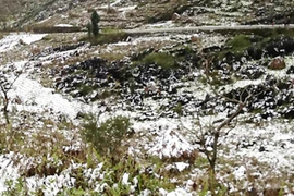 Mèo Vạc tuyết rơi trắng