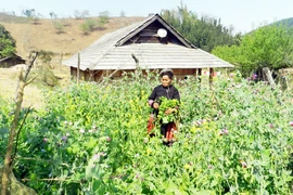 Khám phá bản Mông Hua Tạt 