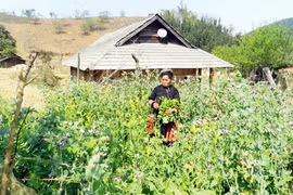 Khám phá bản Mông Hua Tạt 
