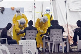 Italia công bố ca nghi nhiễm Ebola đầu tiên