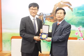 Việt Nam - Hàn Quốc: Đẩy mạnh hợp tác hiệu quả, tích cực