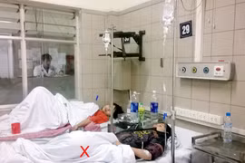 Thêm 5 ca nguy kịch vì nấm độc
