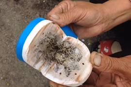 Biện pháp thoát khỏi cơn bão hàng giá rẻ Trung Quốc