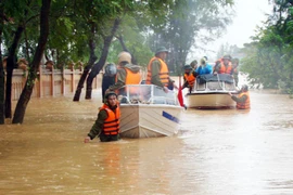Năm 2014: Sẽ có bão bất thường, sức tàn phá mạnh