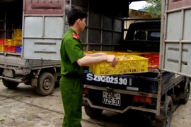 Xử lý nghiêm các vụ vận chuyển gia cầm lậu 