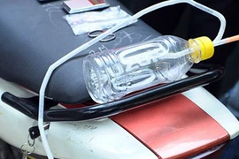 Mang ma túy và cả bộ “đập đá” đi dạo phố