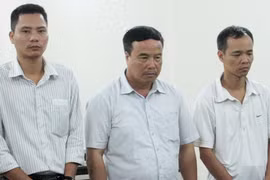 Bất ngờ kiểm tra xe biển số đẹp đỗ ở phố Lý Thường Kiệt, lần ra hàng loạt xe gian