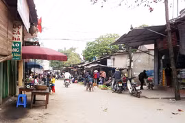 Ngay tại Hà Nội có một làng đàn ông lấy cả chục bà vợ