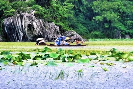 Du ngoạn Quan Sơn thưởng thức gỏi cá mè