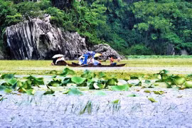 Du ngoạn Quan Sơn thưởng thức gỏi cá mè