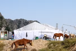 Ekip phim King Kong "dựng rạp" nấu nướng tại Tràng An 