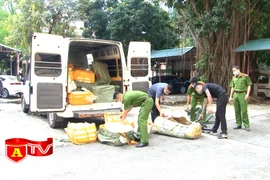 Phát hiện vụ vận chuyển gần 1,5 tấn nội tạng động vật không rõ nguồn gốc