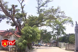 Đảm bảo an toàn tại các khu vực cách ly phòng chống dịch Covid-19