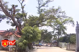 Đảm bảo an toàn tại các khu vực cách ly phòng chống dịch Covid-19