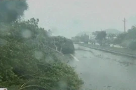 Bão Vincente tràn vào miền Nam Trung Quốc